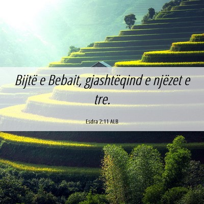 Picture 06 - Esdra 2:11 ALB - Bijtë e Bebait, gjashtëqind e njëzet e - Bible Verse Picture