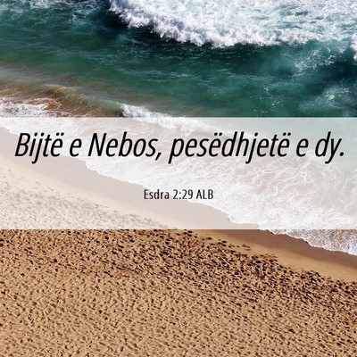 Picture 06 - Esdra 2:29 ALB - Bijtë e Nebos, pesëdhjetë e - Bible Verse Picture