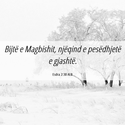 Picture 06 - Esdra 2:30 ALB - Bijtë e Magbishit, njëqind e pesëdhjetë e - Bible Verse Picture