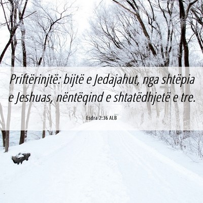 Picture 06 - Esdra 2:36 ALB - Priftërinjtë: bijtë e Jedajahut, nga shtëpia - Bible Verse Picture