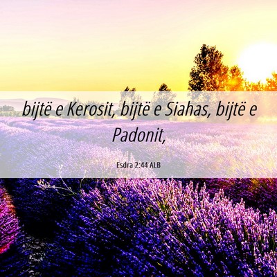 Picture 06 - Esdra 2:44 ALB - bijtë e Kerosit, bijtë e Siahas, bijtë e - Bible Verse Picture