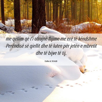 Picture 06 - Esdra 6:10 ALB - me qëllim që t’i ofrojnë flijime me erë të - Bible Verse Picture