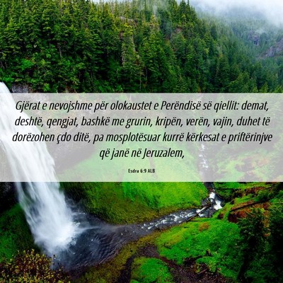 Picture 06 - Esdra 6:9 ALB - Gjërat e nevojshme për olokaustet e Perëndisë - Bible Verse Picture