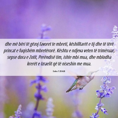 Picture 06 - Esdra 7:28 ALB - dhe më bëri të gëzoj favoret te mbreti, - Bible Verse Picture