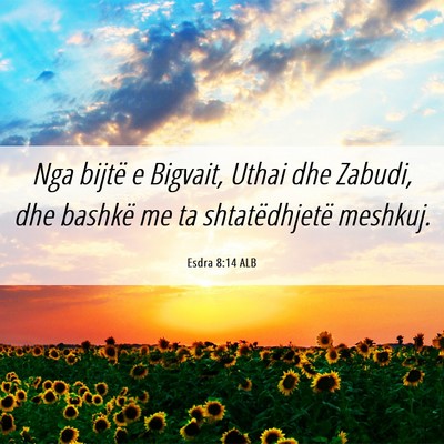 Picture 06 - Esdra 8:14 ALB - Nga bijtë e Bigvait, Uthai dhe Zabudi, dhe - Bible Verse Picture