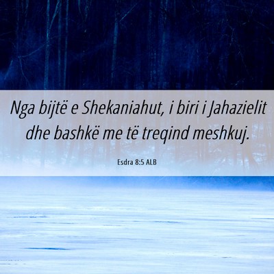 Picture 06 - Esdra 8:5 ALB - Nga bijtë e Shekaniahut, i biri i Jahazielit dhe - Bible Verse Picture
