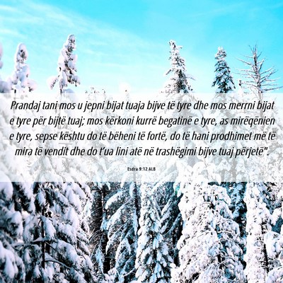 Picture 06 - Esdra 9:12 ALB - Prandaj tani mos u jepni bijat tuaja bijve të - Bible Verse Picture