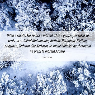 Picture 06 - Ester 1:10 ALB - Ditën e shtatë, kur zemra e mbretit ishte e - Bible Verse Picture