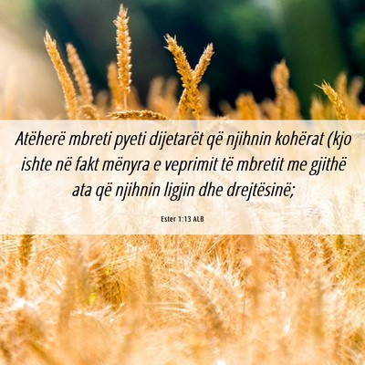 Picture 06 - Ester 1:13 ALB - Atëherë mbreti pyeti dijetarët që njihnin - Bible Verse Picture