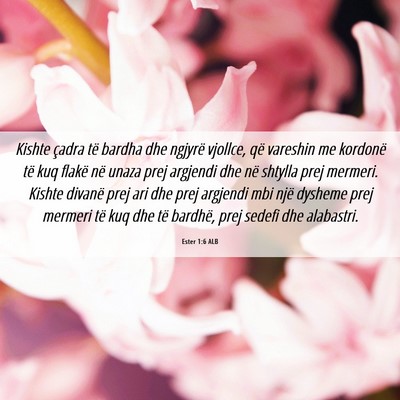 Picture 06 - Ester 1:6 ALB - Kishte çadra të bardha dhe ngjyrë vjollce, që - Bible Verse Picture