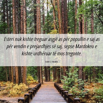 Picture 06 - Ester 2:10 ALB - Esteri nuk kishte treguar asgjë as për popullin - Bible Verse Picture