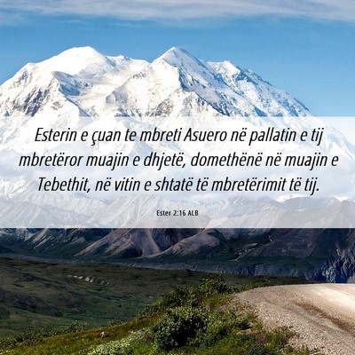 Picture 06 - Ester 2:16 ALB - Esterin e çuan te mbreti Asuero në pallatin e - Bible Verse Picture