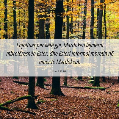 Picture 06 - Ester 2:22 ALB - I njoftuar për këtë gjë, Mardokeu lajmëroi - Bible Verse Picture