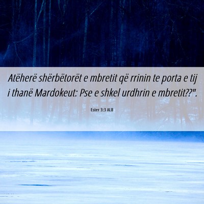 Picture 06 - Ester 3:3 ALB - Atëherë shërbëtorët e mbretit që rrinin te - Bible Verse Picture
