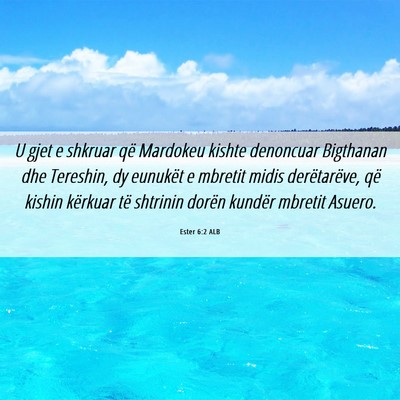 Picture 06 - Ester 6:2 ALB - U gjet e shkruar që Mardokeu kishte denoncuar - Bible Verse Picture