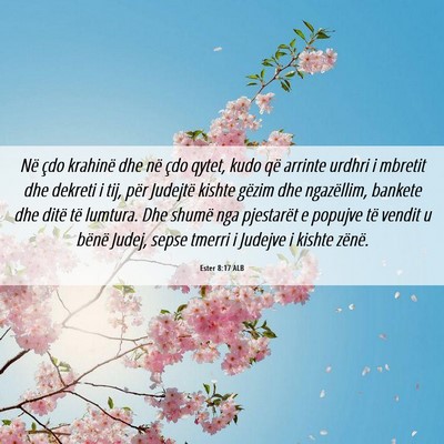Picture 06 - Ester 8:17 ALB - Në çdo krahinë dhe në çdo qytet, kudo që - Bible Verse Picture