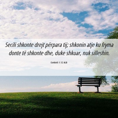 Picture 06 - Ezekieli 1:12 ALB - Secili shkonte drejt përpara tij; shkonin atje - Bible Verse Picture