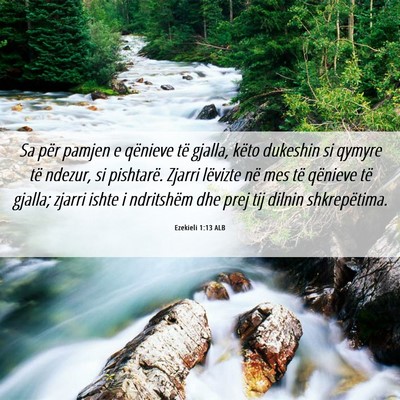 Picture 06 - Ezekieli 1:13 ALB - Sa për pamjen e qënieve të gjalla, këto - Bible Verse Picture