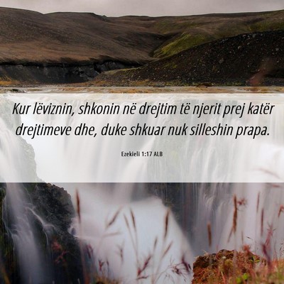 Picture 06 - Ezekieli 1:17 ALB - Kur lëviznin, shkonin në drejtim të njerit - Bible Verse Picture
