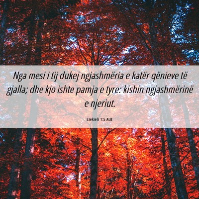 Picture 06 - Ezekieli 1:5 ALB - Nga mesi i tij dukej ngjashmëria e katër - Bible Verse Picture