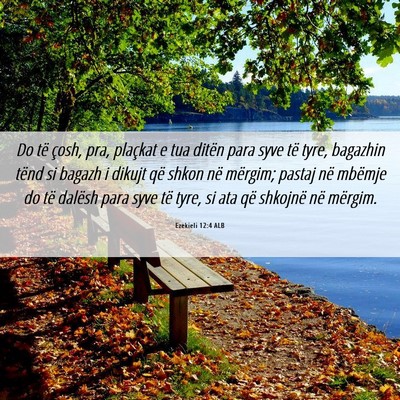 Picture 06 - Ezekieli 12:4 ALB - Do të çosh, pra, plaçkat e tua ditën para - Bible Verse Picture