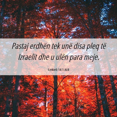 Picture 06 - Ezekieli 14:1 ALB - Pastaj erdhën tek unë disa pleq të Izraelit - Bible Verse Picture