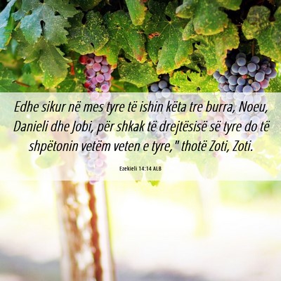 Picture 06 - Ezekieli 14:14 ALB - Edhe sikur në mes tyre të ishin këta tre - Bible Verse Picture