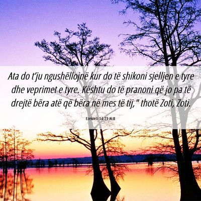 Picture 06 - Ezekieli 14:23 ALB - Ata do t’ju ngushëllojnë kur do të shikoni - Bible Verse Picture
