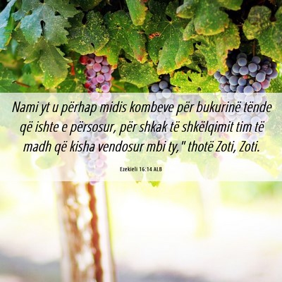 Picture 06 - Ezekieli 16:14 ALB - Nami yt u përhap midis kombeve për bukurinë - Bible Verse Picture