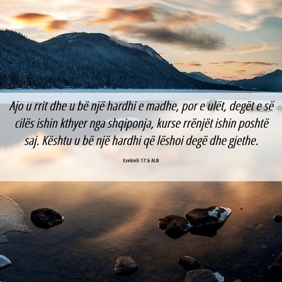 Picture 06 - Ezekieli 17:6 ALB - Ajo u rrit dhe u bë një hardhi e madhe, por e - Bible Verse Picture