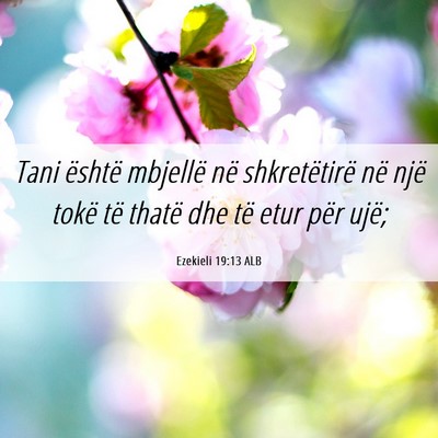 Picture 06 - Ezekieli 19:13 ALB - Tani është mbjellë në shkretëtirë në një - Bible Verse Picture