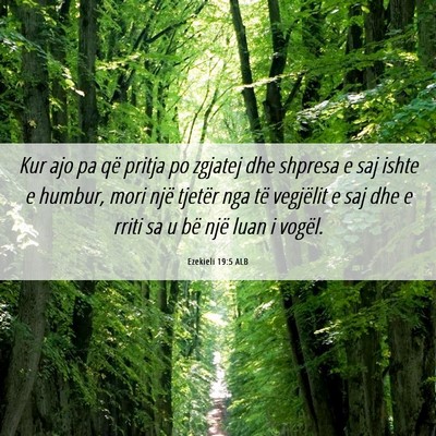 Picture 06 - Ezekieli 19:5 ALB - Kur ajo pa që pritja po zgjatej dhe shpresa e - Bible Verse Picture