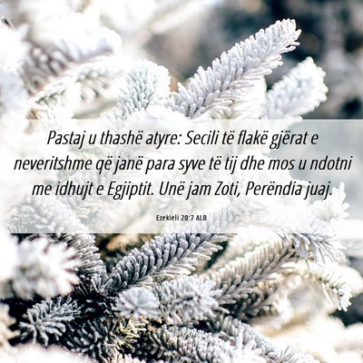Picture 06 - Ezekieli 20:7 ALB - Pastaj u thashë atyre: Secili të flakë gjërat - Bible Verse Picture