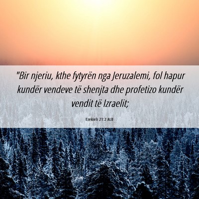 Picture 06 - Ezekieli 21:2 ALB - 