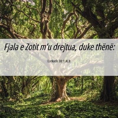 Picture 06 - Ezekieli 30:1 ALB - Fjala e Zotit m’u drejtua, duke - Bible Verse Picture