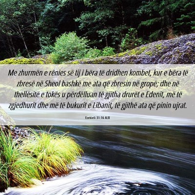 Picture 06 - Ezekieli 31:16 ALB - Me zhurmën e rënies së tij i bëra të dridhen - Bible Verse Picture