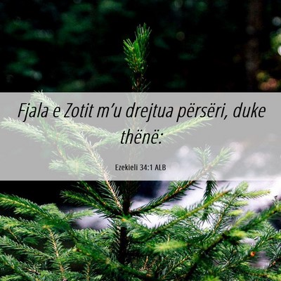 Picture 06 - Ezekieli 34:1 ALB - Fjala e Zotit m’u drejtua përsëri, duke - Bible Verse Picture