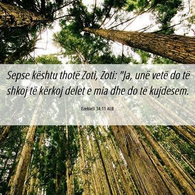 Picture 06 - Ezekieli 34:11 ALB - Sepse kështu thotë Zoti, Zoti: 