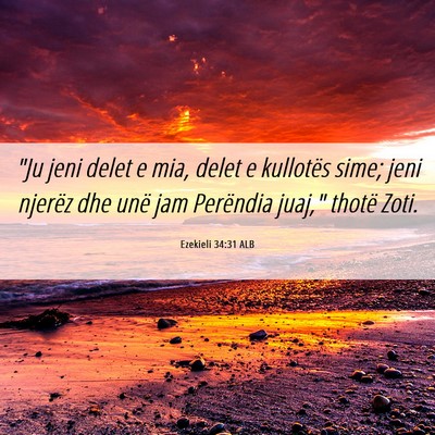 Picture 06 - Ezekieli 34:31 ALB - 