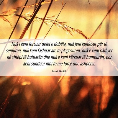 Picture 06 - Ezekieli 34:4 ALB - Nuk i keni forcuar delet e dobëta, nuk jeni - Bible Verse Picture