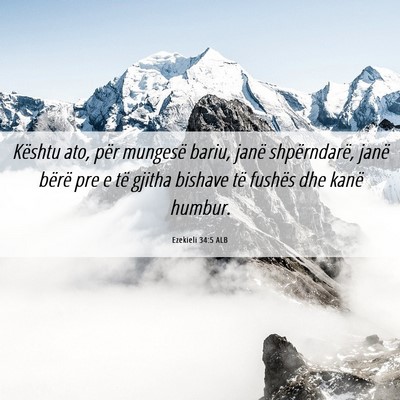 Picture 06 - Ezekieli 34:5 ALB - Kështu ato, për mungesë bariu, janë - Bible Verse Picture