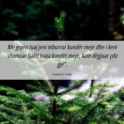Picture 06 - Ezekieli 35:13 ALB - Me gojën tuaj jeni mburrur kundër meje dhe i - Bible Verse Picture