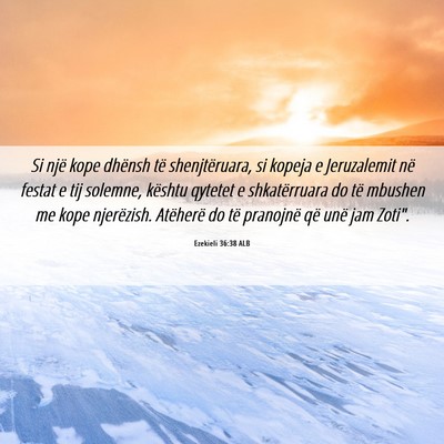 Picture 06 - Ezekieli 36:38 ALB - Si një kope dhënsh të shenjtëruara, si kopeja - Bible Verse Picture