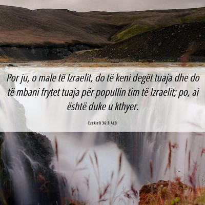 Picture 06 - Ezekieli 36:8 ALB - Por ju, o male të Izraelit, do të keni degët - Bible Verse Picture