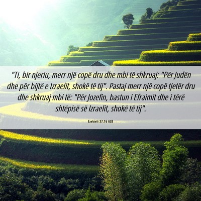 Picture 06 - Ezekieli 37:16 ALB - 