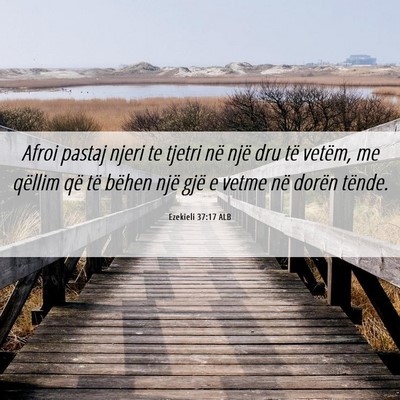 Picture 06 - Ezekieli 37:17 ALB - Afroi pastaj njeri te tjetri në një dru të - Bible Verse Picture