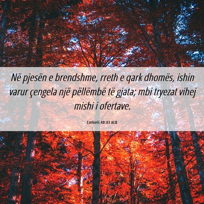 Picture 06 - Ezekieli 40:43 ALB - Në pjesën e brendshme, rreth e qark dhomës, - Bible Verse Picture