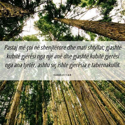 Picture 06 - Ezekieli 41:1 ALB - Pastaj më çoi në shenjtërore dhe mati - Bible Verse Picture