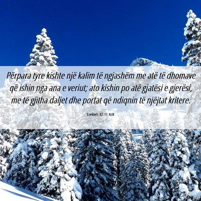 Picture 06 - Ezekieli 42:11 ALB - Përpara tyre kishte një kalim të ngjashëm me - Bible Verse Picture