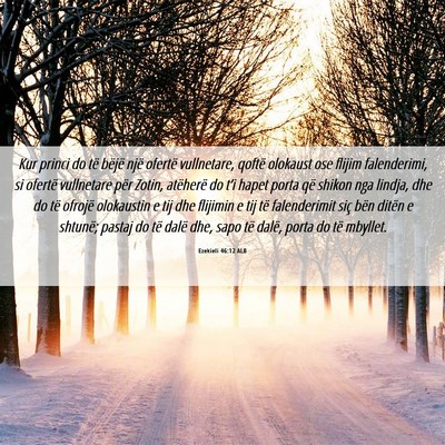 Picture 06 - Ezekieli 46:12 ALB - Kur princi do të bëjë një ofertë vullnetare, - Bible Verse Picture